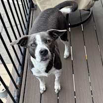 Thumbnail photo of Mel #2