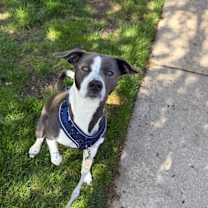 Thumbnail photo of Mel #3