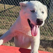 Thumbnail photo of Clark #1