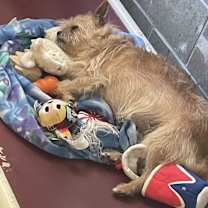 Thumbnail photo of Jack #4