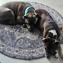 Thumbnail photo of Saint *Courtesy Post* #4