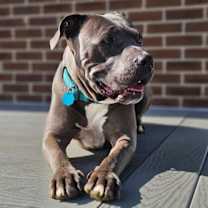 Thumbnail photo of Saint *Courtesy Post* #1