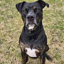 Thumbnail photo of Garth #1