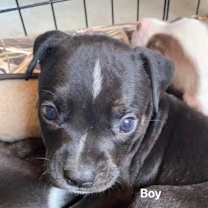 Thumbnail photo of Garth #2