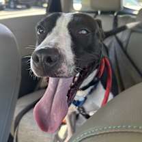 Thumbnail photo of Linly #4