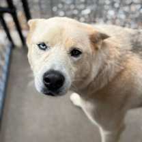 Thumbnail photo of Camille #2