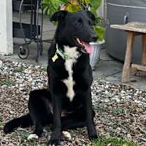 Thumbnail photo of FINA #3