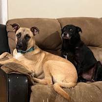 Thumbnail photo of Tucker #4