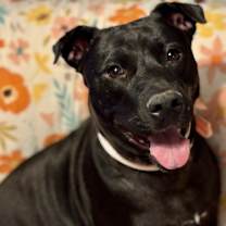 Thumbnail photo of Daisy Mae #1