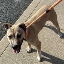 Thumbnail photo of Jitterbug #2