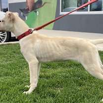 Thumbnail photo of Woody #3