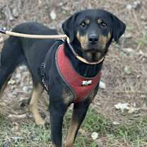 Thumbnail photo of Tessa #4