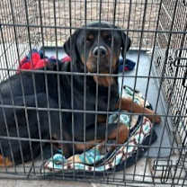 Thumbnail photo of Auto #2