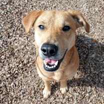 Thumbnail photo of Fredonia #1