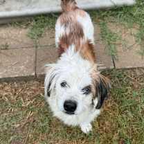 Thumbnail photo of Boots McGee #1