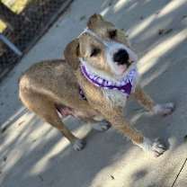 Thumbnail photo of Penny #4