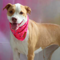 Thumbnail photo of Molly JuM #3