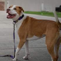 Thumbnail photo of Molly JuM #4