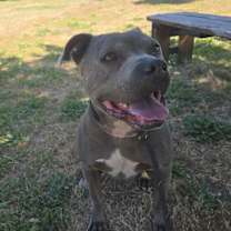 Thumbnail photo of Caine #4