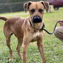 Thumbnail photo of Gus 23D-0406 #3