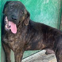 Thumbnail photo of Marve 23D-0320 #1