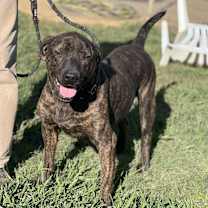 Thumbnail photo of Marve 23D-0320 #2