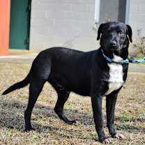 Thumbnail photo of Mikey 23D-0137 #4