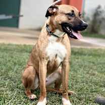 Thumbnail photo of Andy 23D-0199 #4