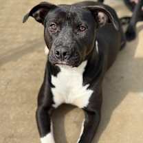 Thumbnail photo of Julia 23D-0493 #2