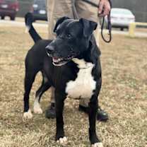 Thumbnail photo of Winsor (21D-0280) #2