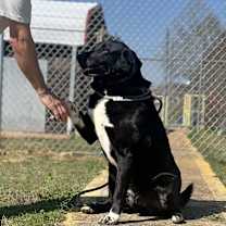 Thumbnail photo of Mex (6150) #2