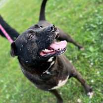 Thumbnail photo of Weezer (19D-0298) #1