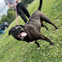 Thumbnail photo of Weezer (19D-0298) #2