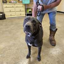 Thumbnail photo of Loki 23D-0142 #3