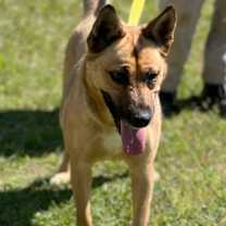 Thumbnail photo of Maude 23D-0206 #3