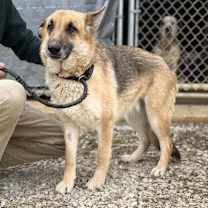 Thumbnail photo of Sox 25D- 014 #2