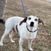 Thumbnail photo of Bob 23D-0490 #2