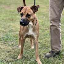 Thumbnail photo of Rus 23D-0408 #3