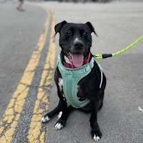 Thumbnail photo of Fiona #1