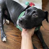 Thumbnail photo of Fiona #4