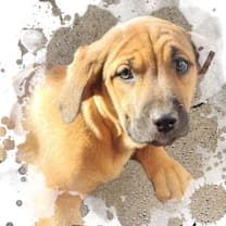 Thumbnail photo of Felicity #4