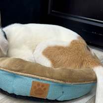 Thumbnail photo of Matt Murdock #2