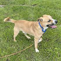 Thumbnail photo of Thomas #2