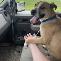 Thumbnail photo of Thomas #3