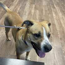 Thumbnail photo of Thomas #4