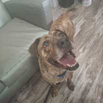 Thumbnail photo of Togo #1