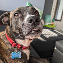 Thumbnail photo of Estelle #3