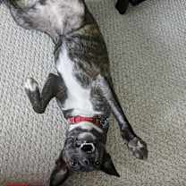 Thumbnail photo of Estelle #4