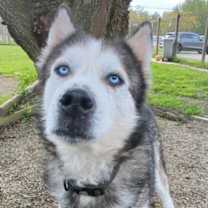 Thumbnail photo of Rudy #3