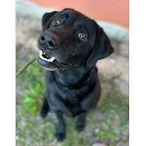 Thumbnail photo of River #3